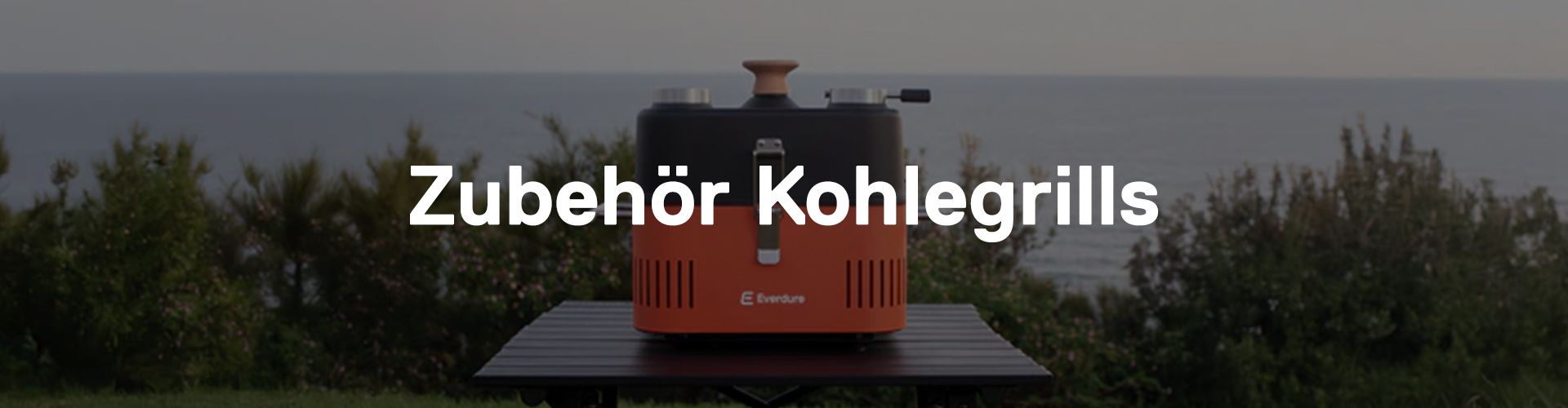 Kohlegrill Zubehör